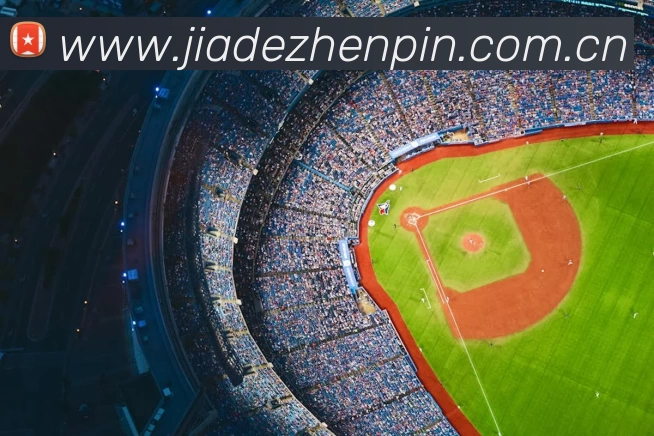 米兰app官网下载入口 - 米兰(中国)服务体系